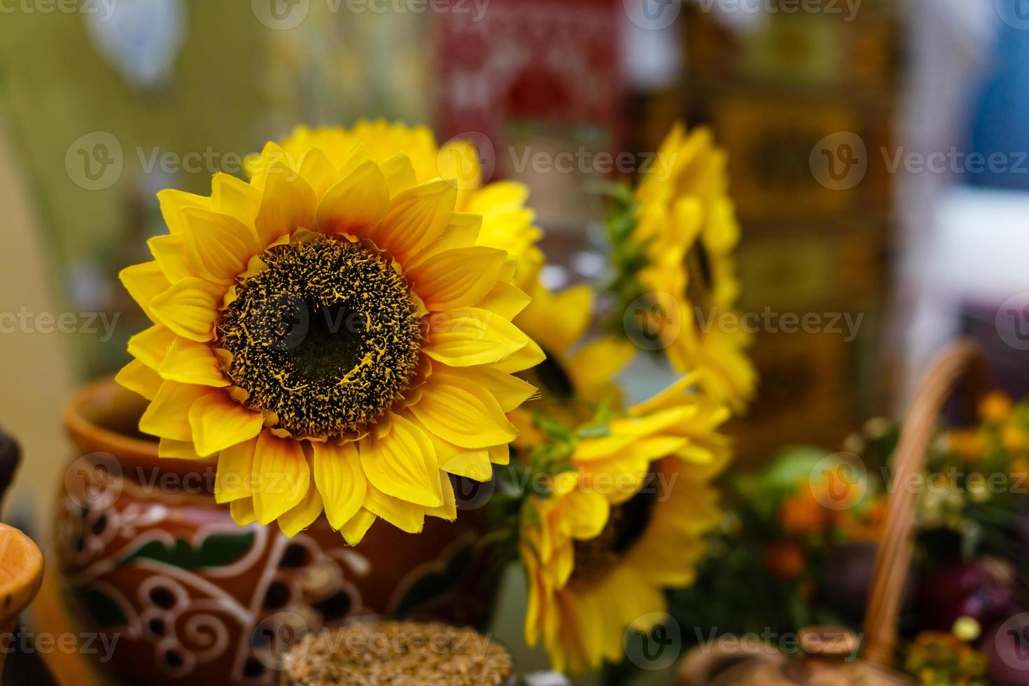 Bouquet of sunflowers in old clay jug. In the foreground branches with ripe cherry plum photo