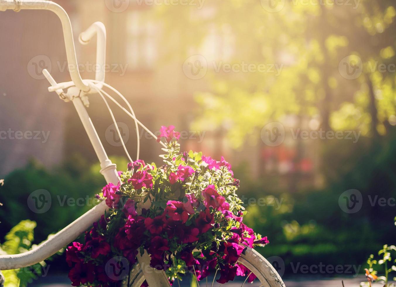 Vintage bicycle on the field with a bag and basket photo