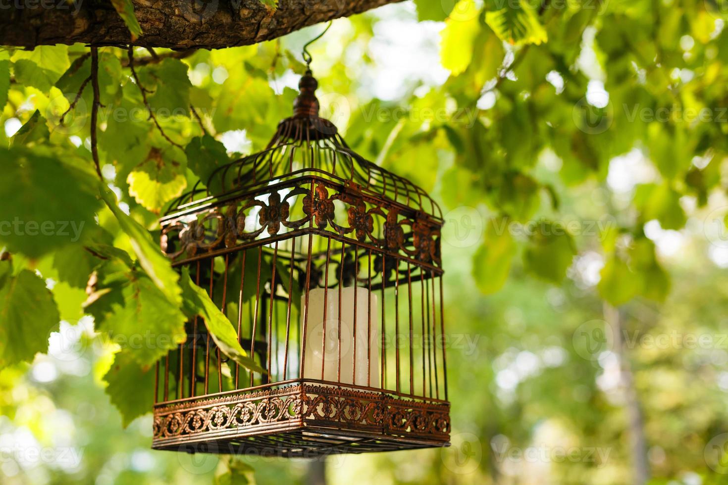 vintage wedding decorative birdcage with candles on natural background photo