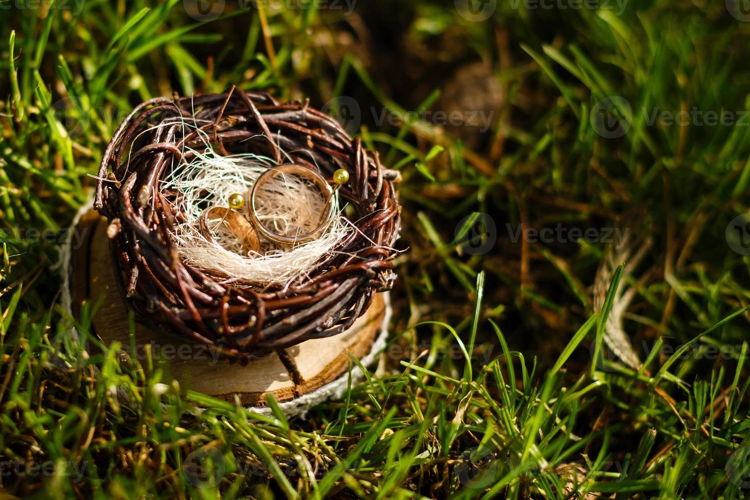 Pair of wedding rings laying in nest. Wedding decoration. Symbol of family, togetherness and love photo