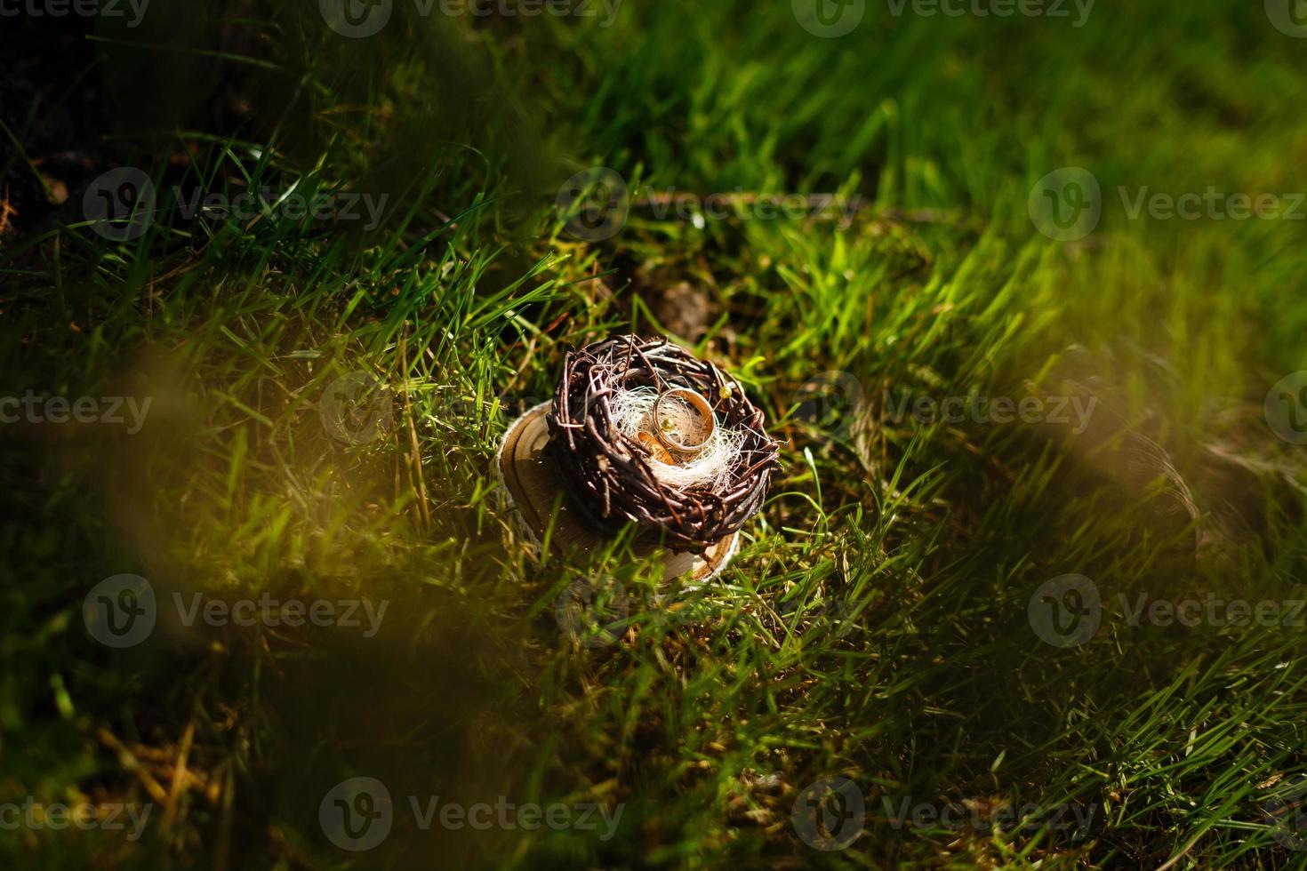 Pair of wedding rings laying in nest. Wedding decoration. Symbol of family, togetherness and love photo