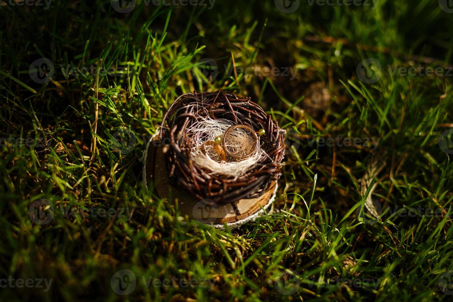 Pair of wedding rings laying in nest. Wedding decoration. Symbol of family, togetherness and love photo