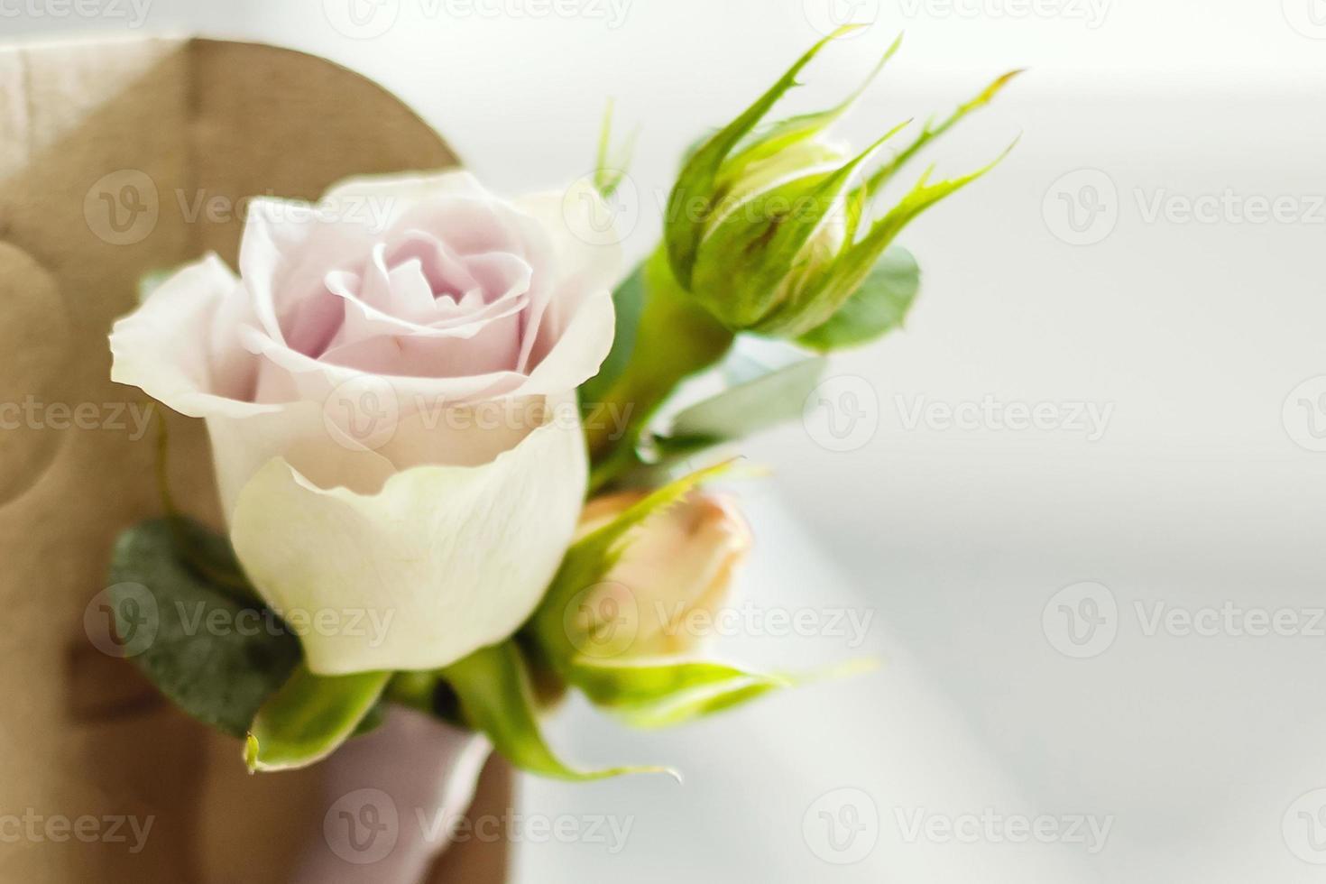 boutonniere elegante hecho de flores rosas y blancas. accesorios de boda foto