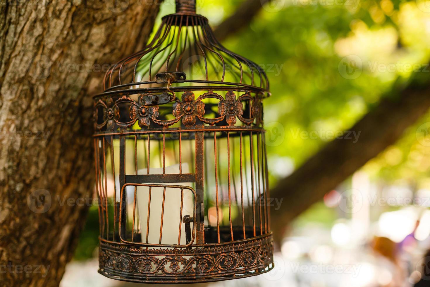 vintage wedding decorative birdcage with candles on natural background photo