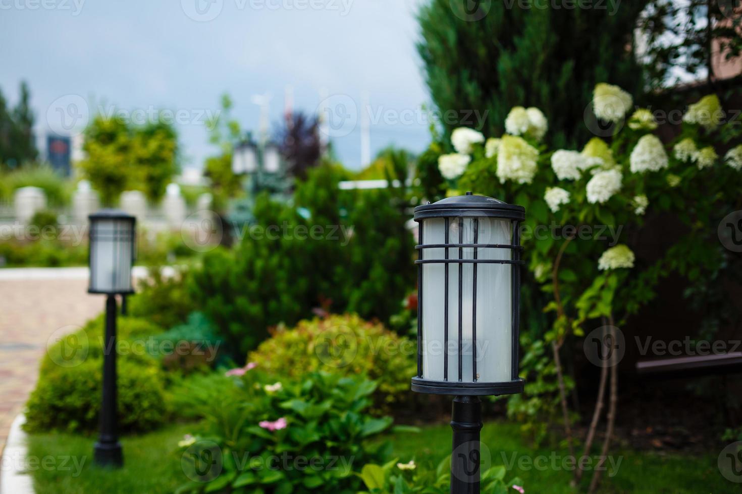 The street lamp in the park photo