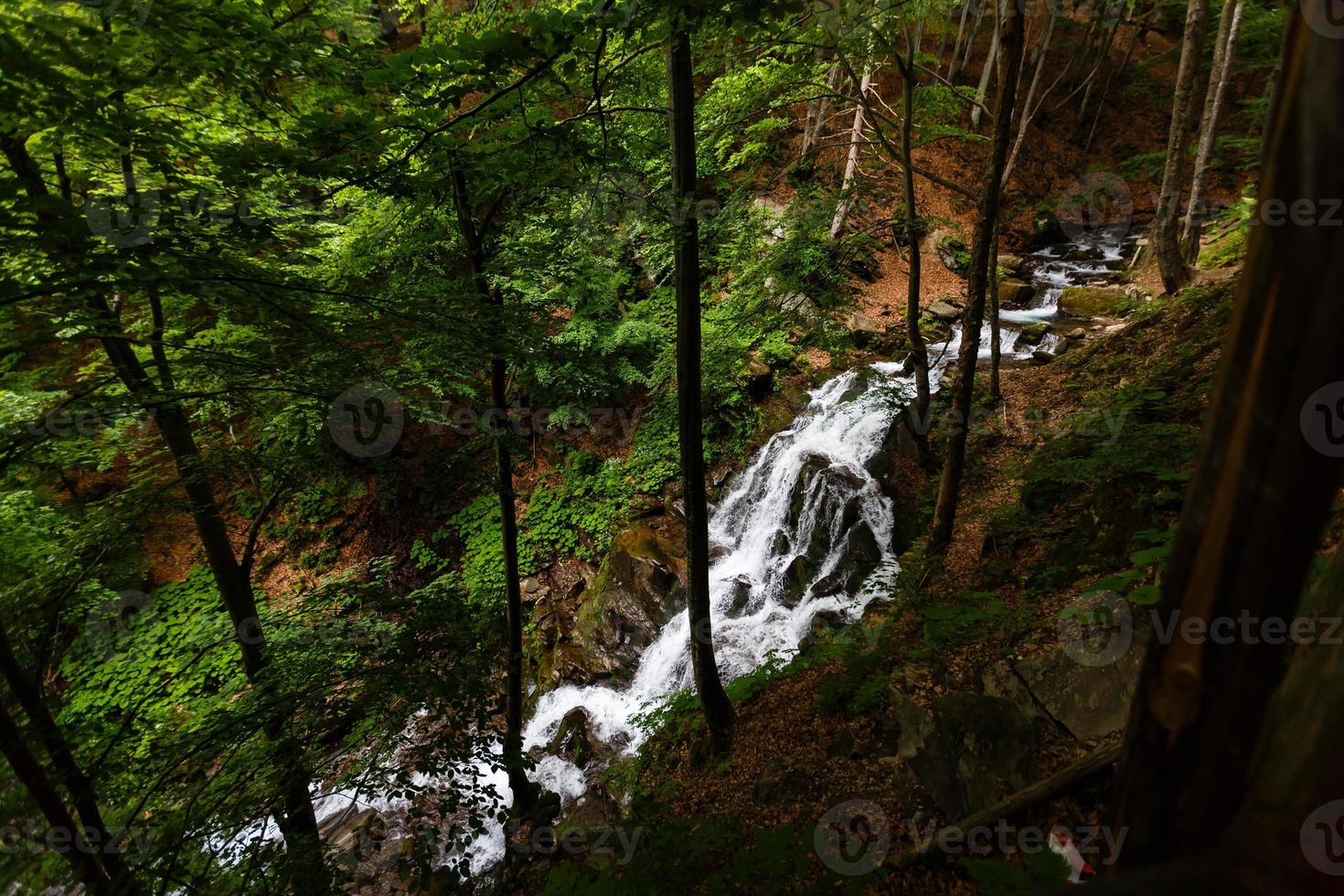 Small waterfall in Nambillo Cloud Forest Reserve near Mindo, Ecuador. photo