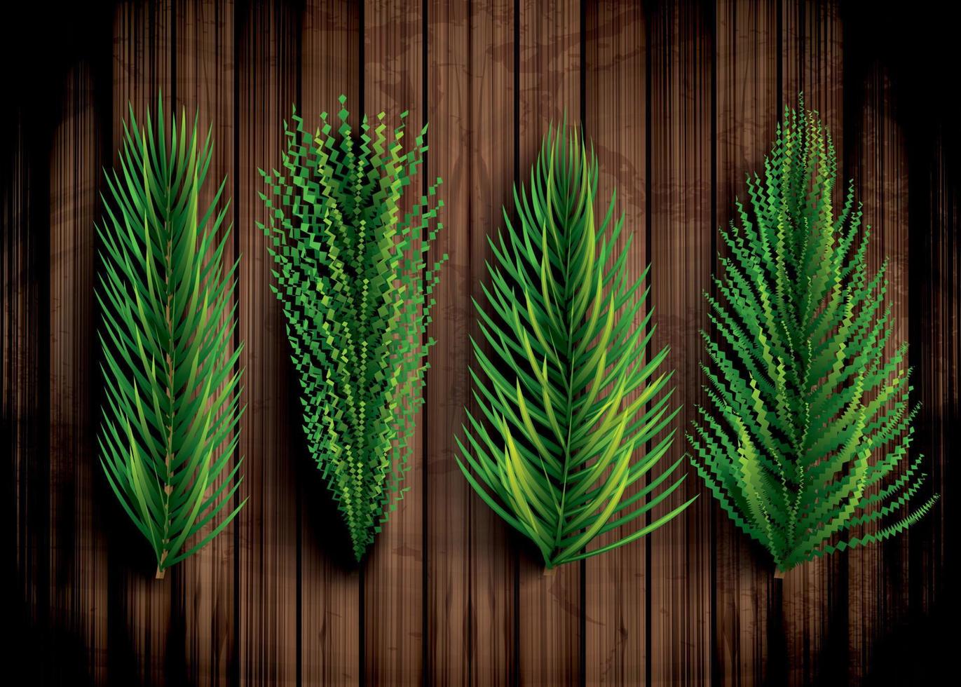 Fir Branches Set. Christmas Tree. Pine Sprigs on Wooden Background. vector