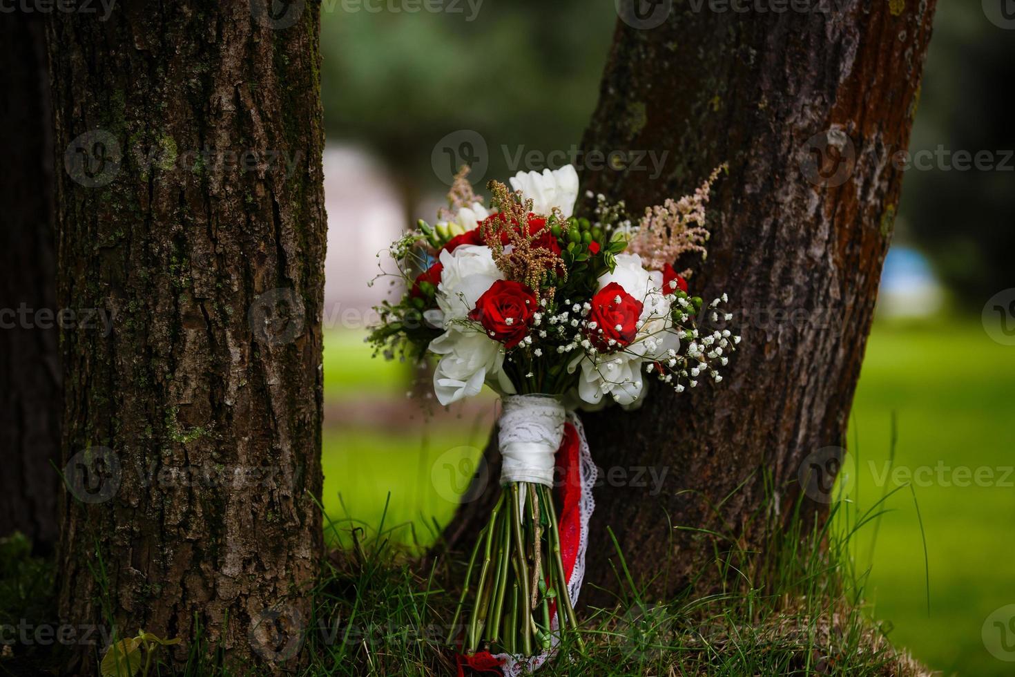 Beautiful bouquet of roses standing near a tree on the green grass photo