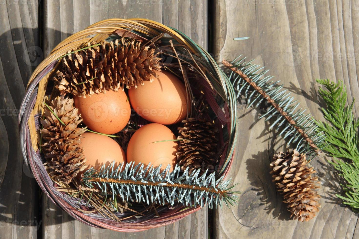 Easter eggs in a basket of 4 with pine leaves and pine cones on a light wooden background. photo