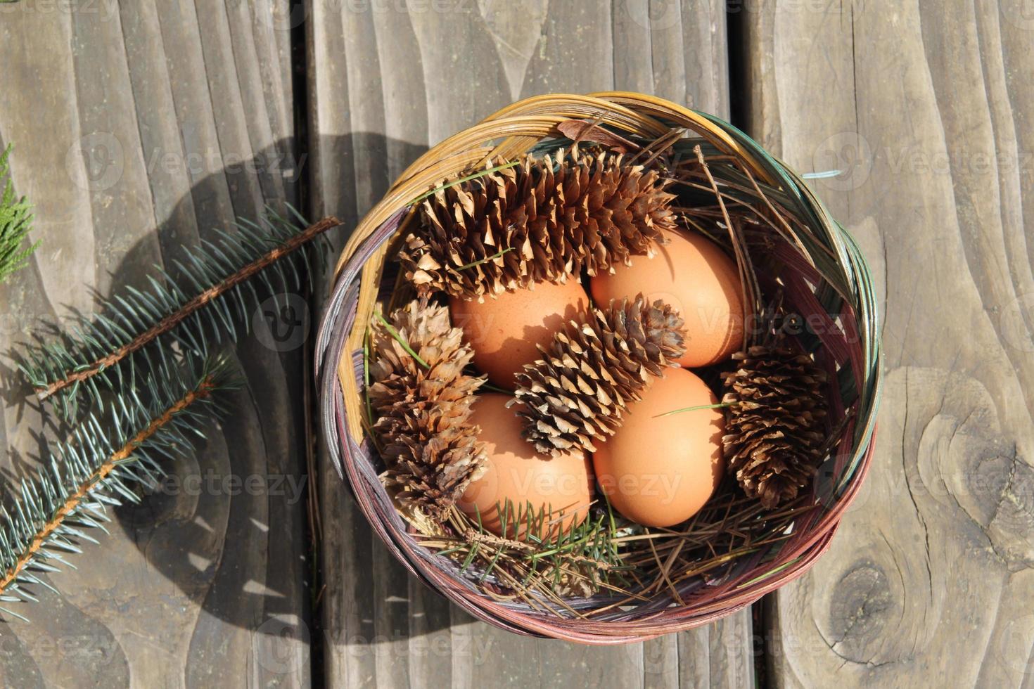 Easter eggs in a basket of 4 with pine leaves and pine cones on a light wooden background. photo