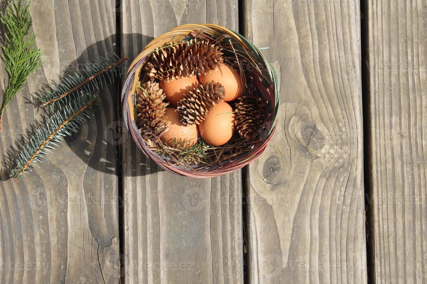Easter eggs in a basket of 4 with pine leaves and pine cones on a light wooden background. photo