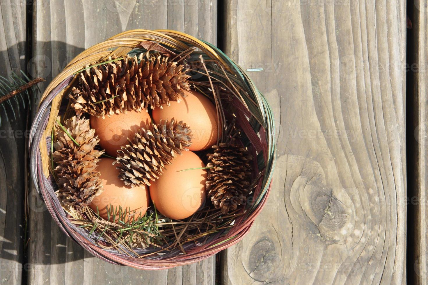 Easter eggs in a basket of 4 with pine leaves and pine cones on a light wooden background. photo