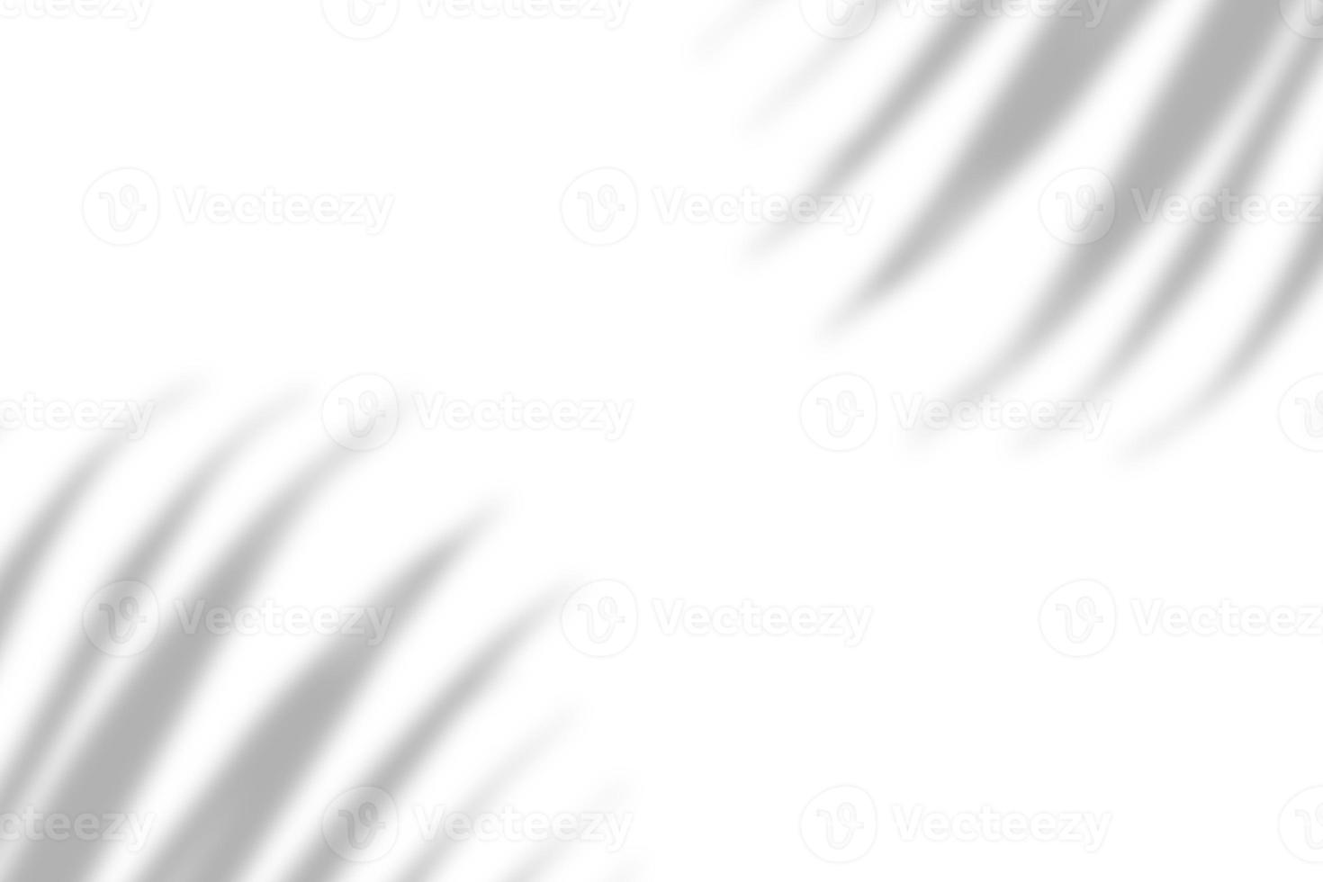 Palm leaf natural shadow overlay effect on white texture background, for overlay on product presentation, backdrop and mockup photo