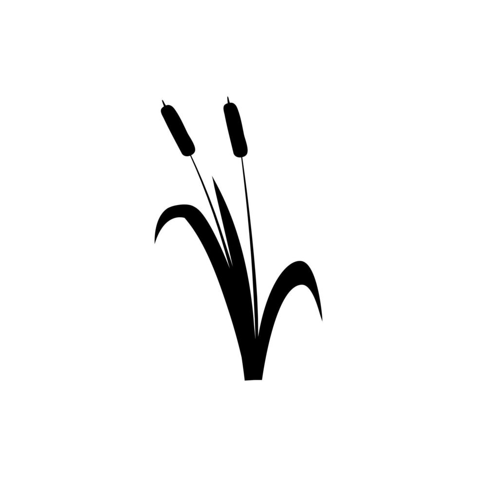 Cattail icon vector. reeds illustration sign. swamp symbol. grass logo. vector