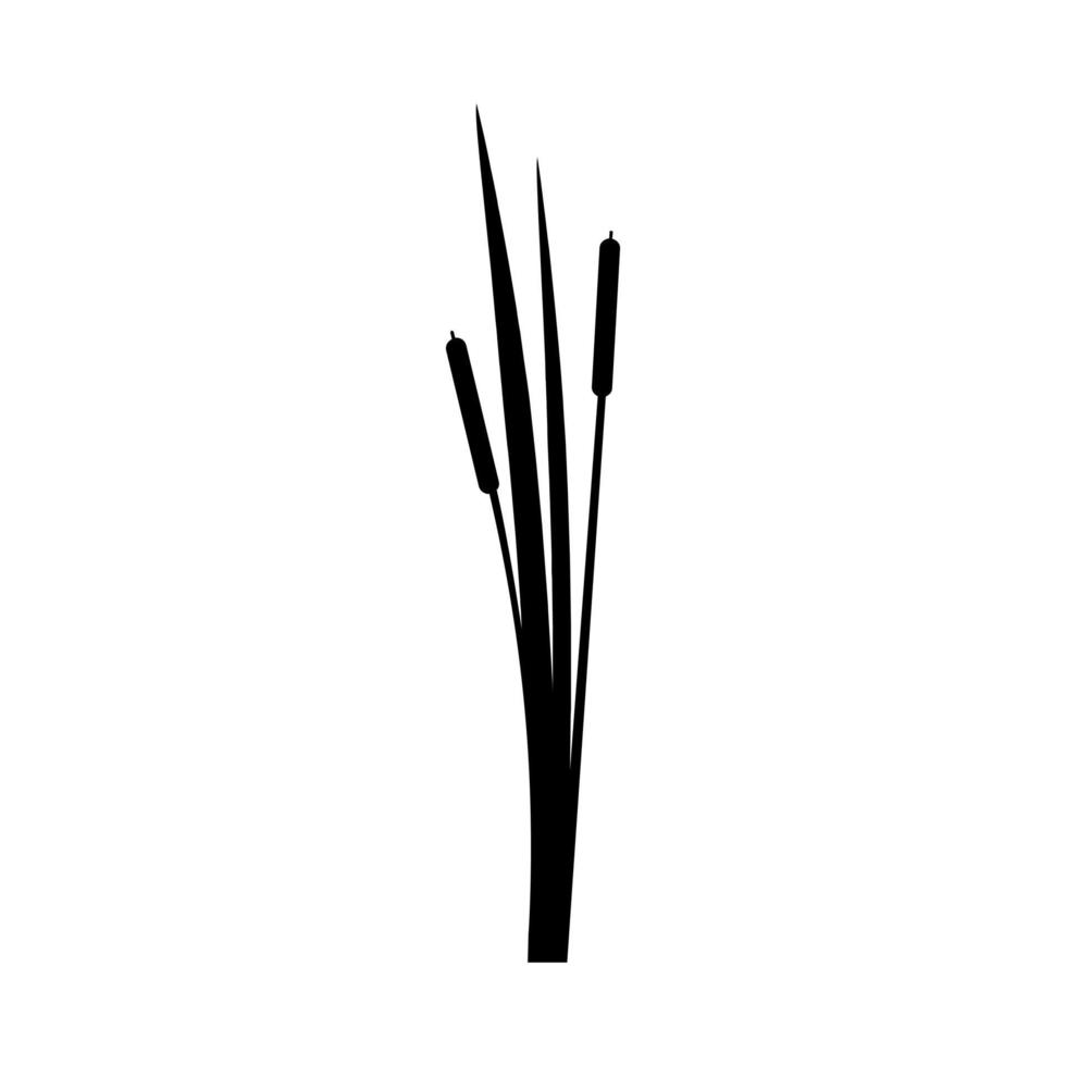 vector de icono de totora. signo de ilustración de cañas. símbolo del pantano. logotipo de hierba.