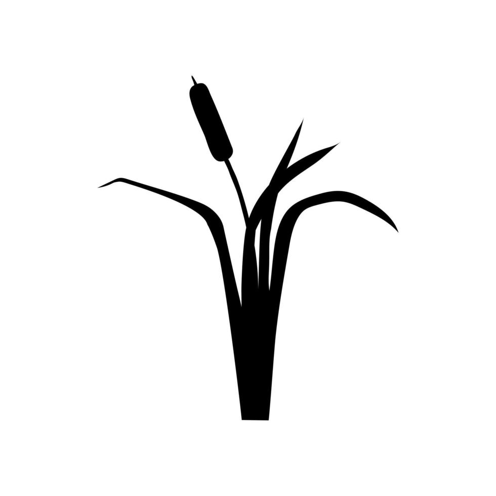 vector de icono de totora. signo de ilustración de cañas. símbolo del pantano. logotipo de hierba.