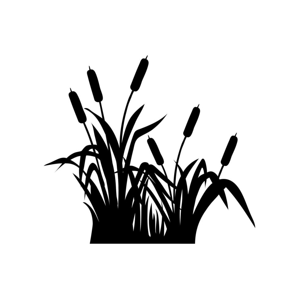 vector de icono de totora. signo de ilustración de cañas. símbolo del pantano. logotipo de hierba.