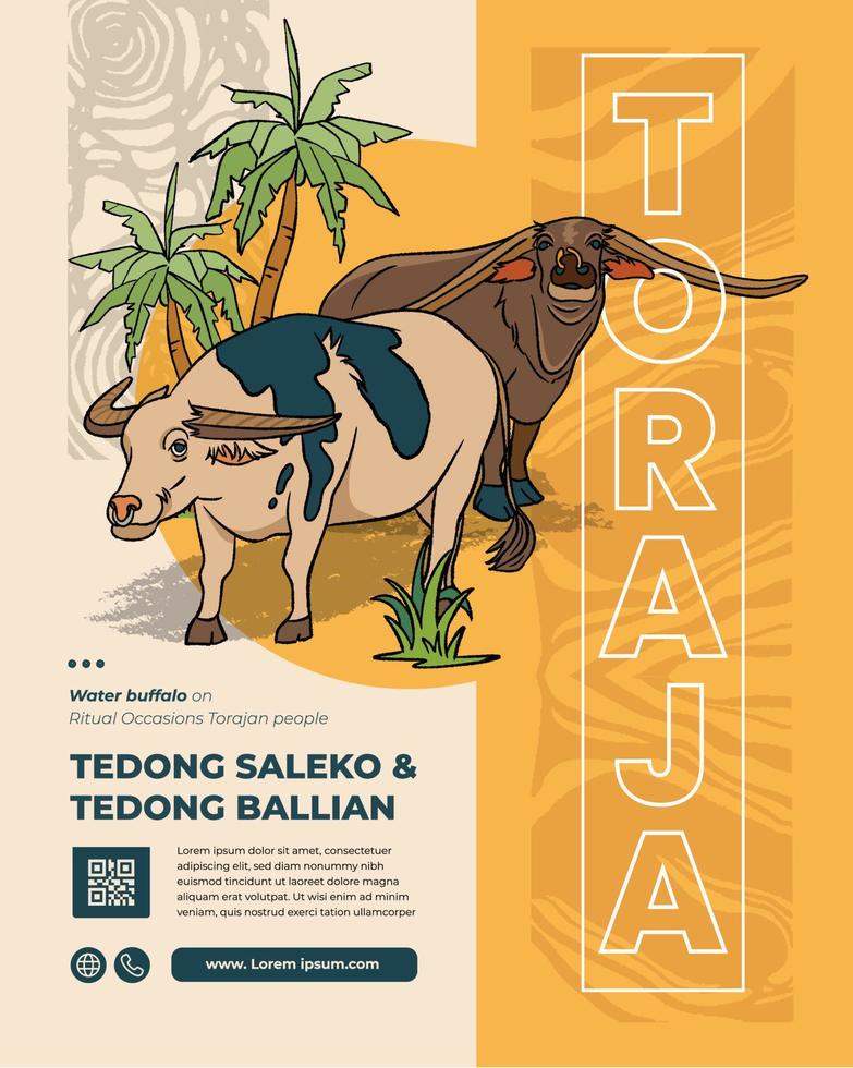 Tedong Saleko and Tedong Ballian, Tana Toraja Water Buffalo Indonesian Culture Handrawn Illustration vector
