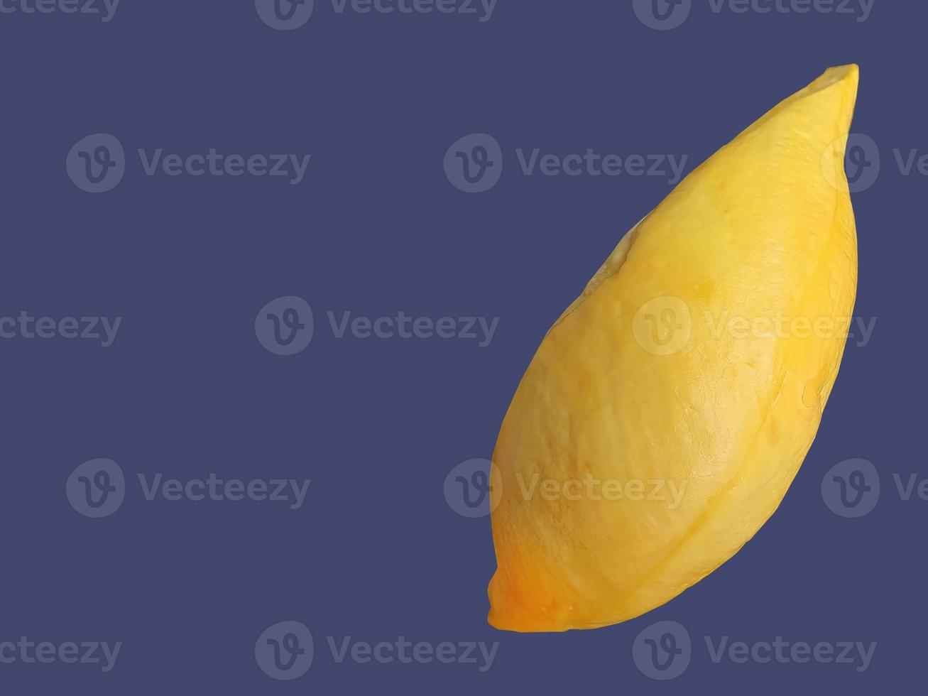 A Golden yellow color Durian meat, king of fruit, natural shape and form, purple background, isolated, copy space with clipping path, object, element photo