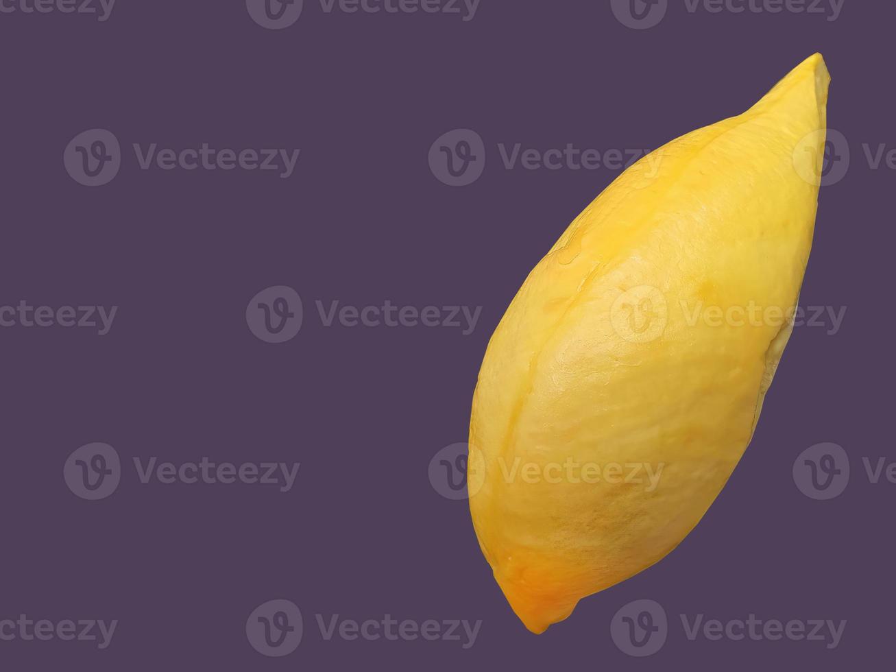 A Golden yellow color Durian meat, king of fruit, natural shape and form, purple background, isolated, copy space with clipping path, object, element photo