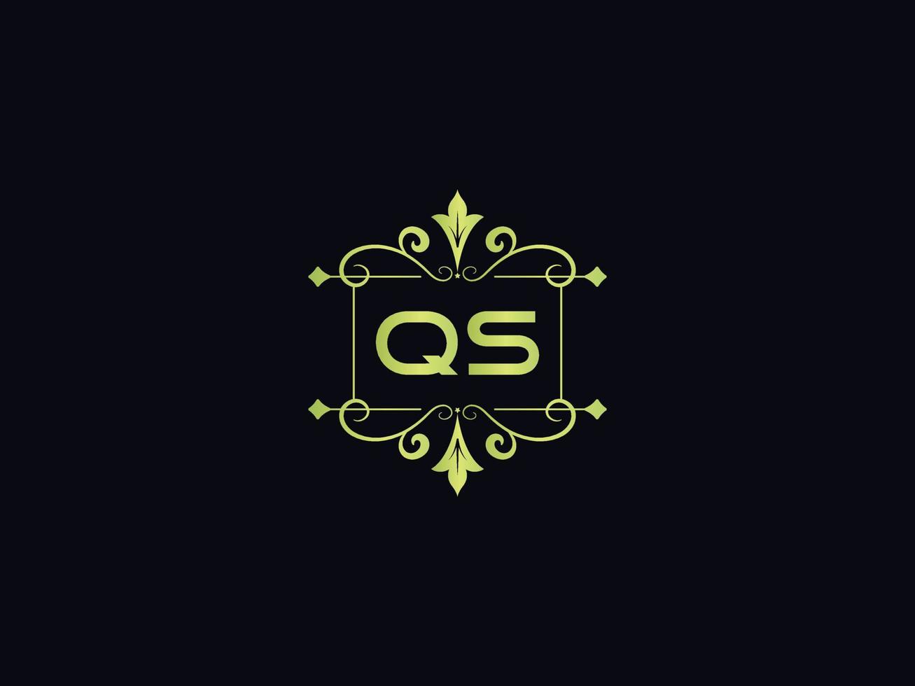 Modern Qs Logo Icon, Beautiful QS Luxury Letter Logo vector