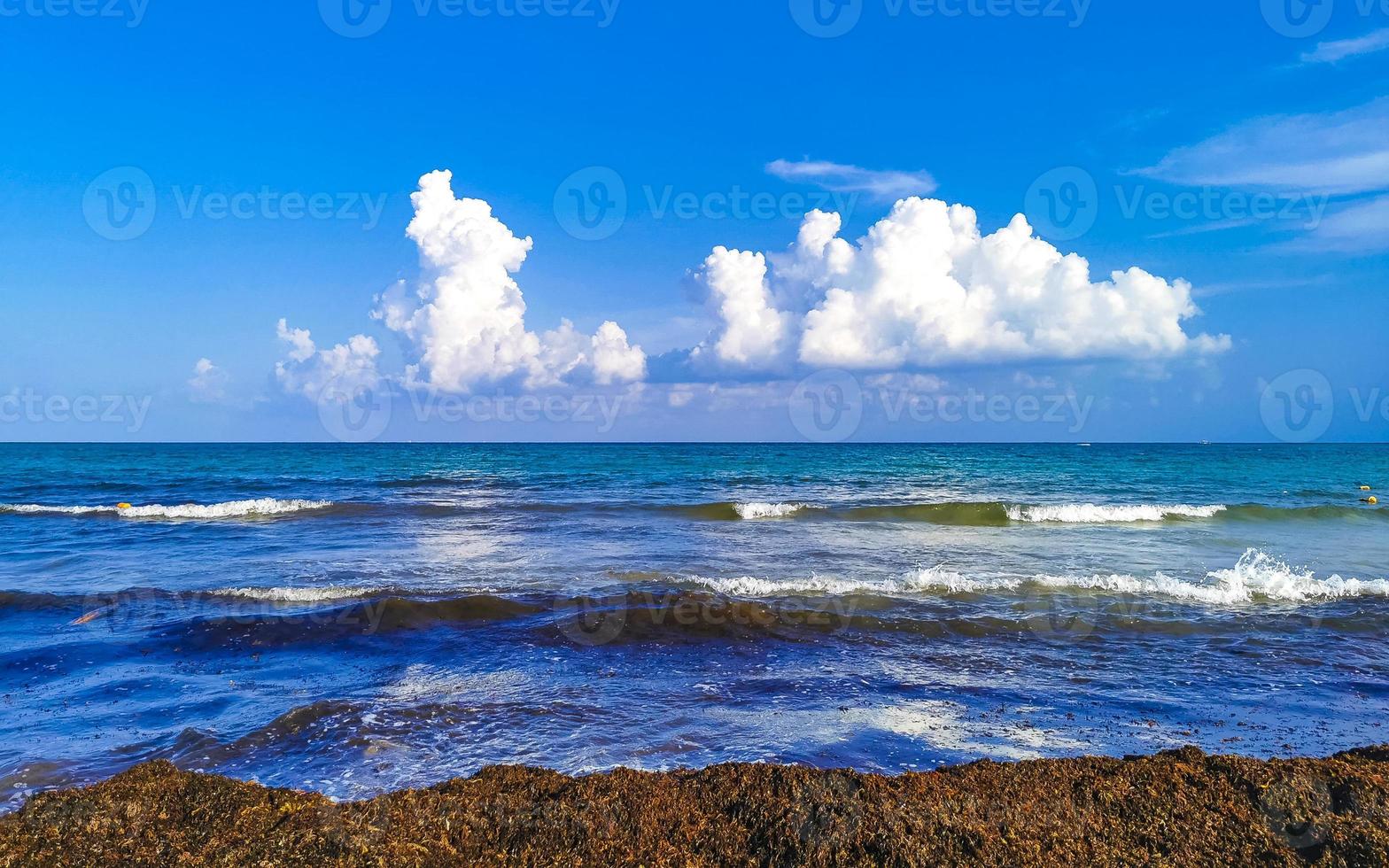 hermosa playa caribeña totalmente sucia sucio asqueroso problema de algas mexico. foto