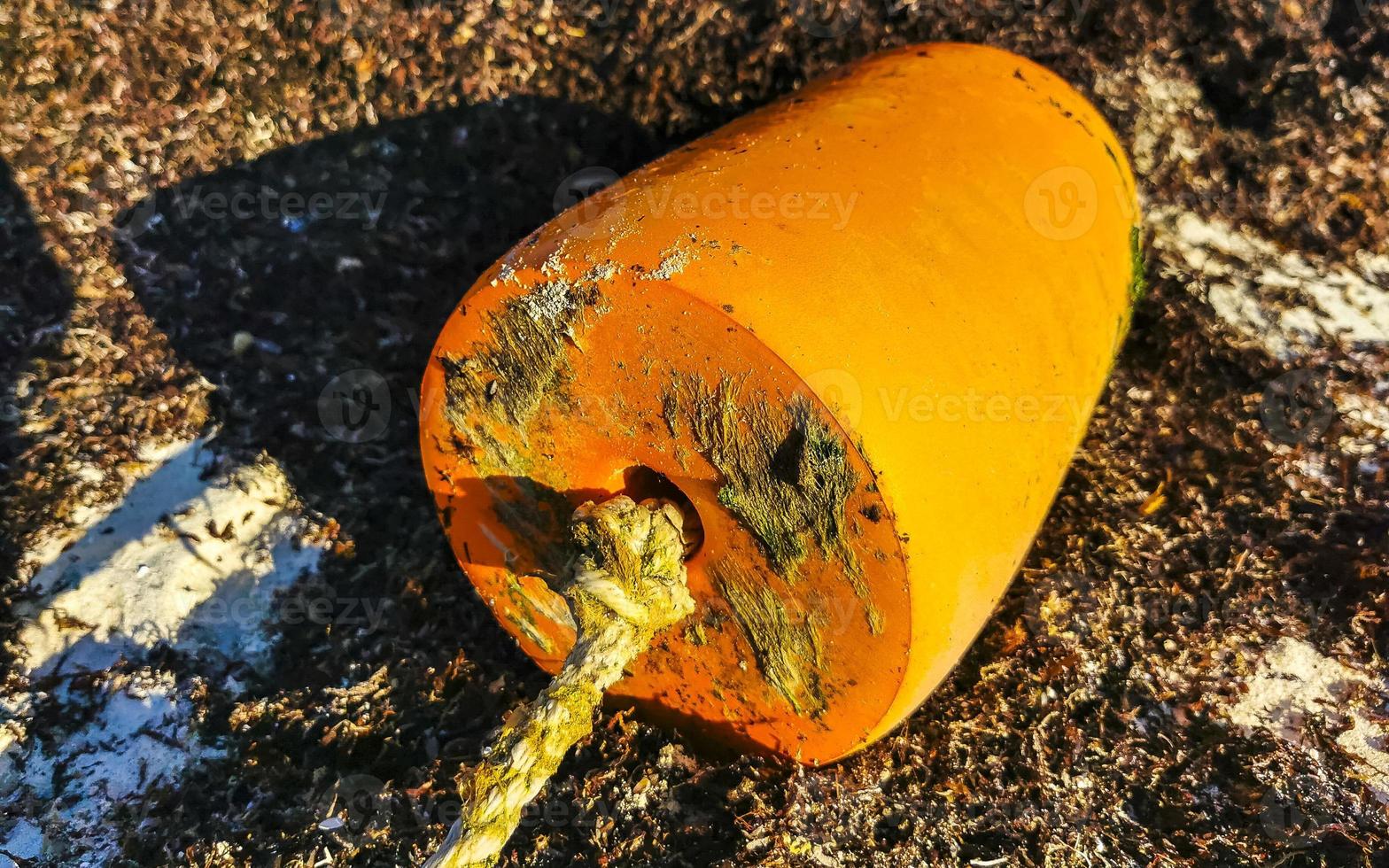 Beautiful Caribbean beach totally filthy dirty nasty seaweed problem Mexico. photo