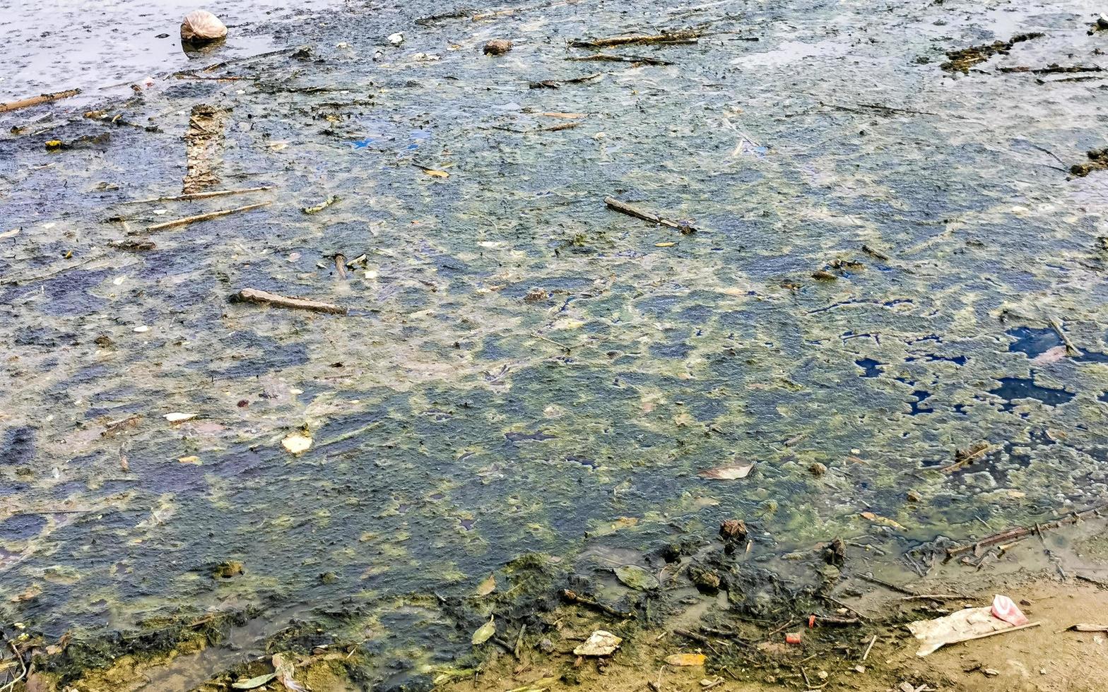 río verde sucio contaminado y basura en puerto escondido méxico. foto