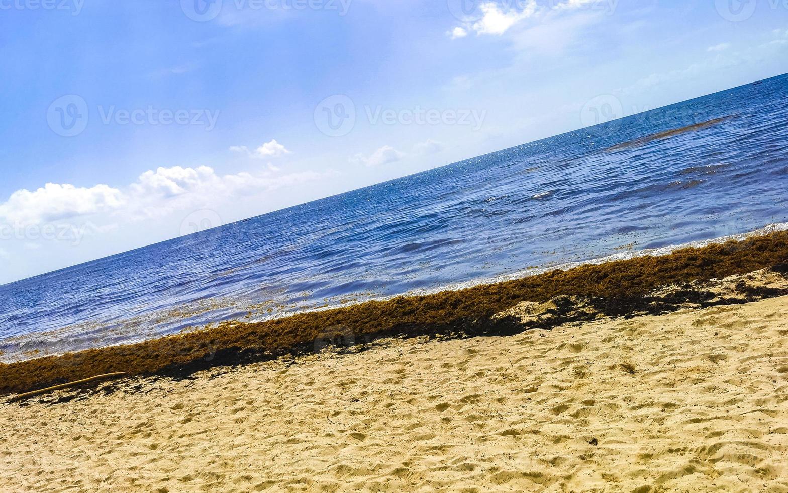 hermosa playa caribeña totalmente sucia sucio asqueroso problema de algas mexico. foto