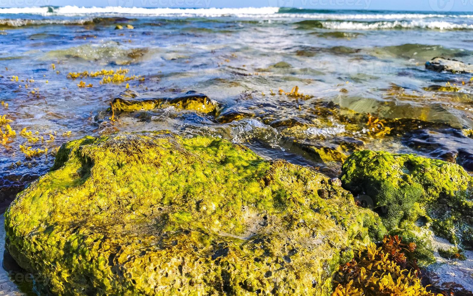 piedras rocas corales turquesa verde azul agua playa mexico. foto