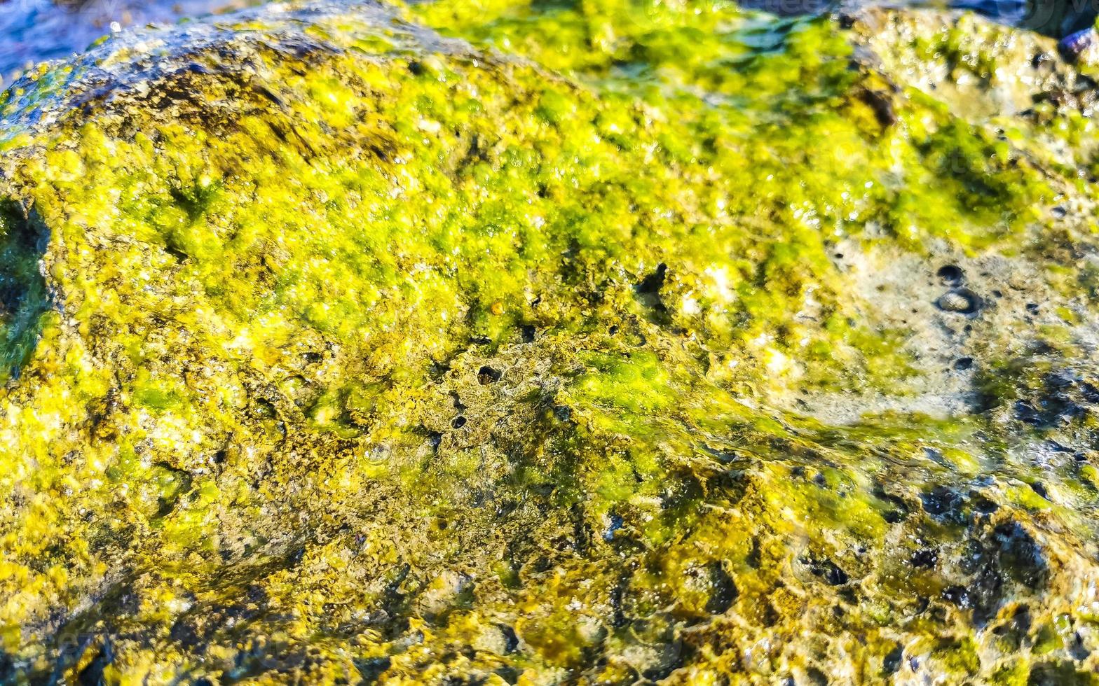 Stones rocks corals turquoise green blue water on beach Mexico. photo