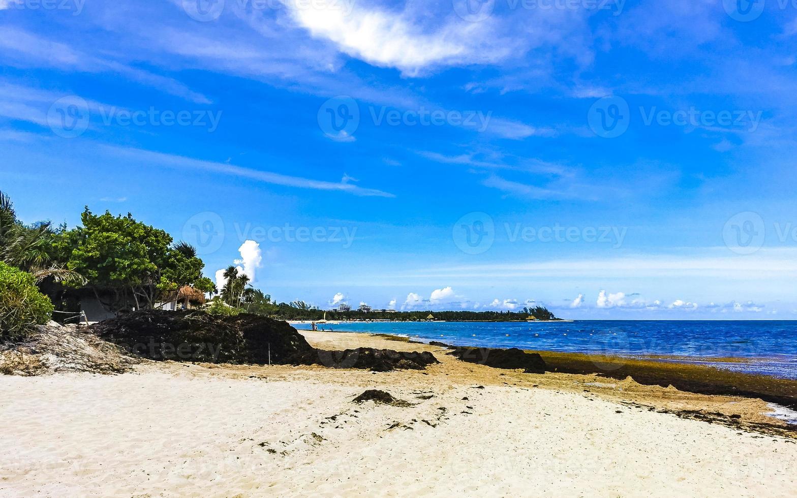 Beautiful Caribbean beach totally filthy dirty nasty seaweed problem Mexico. photo