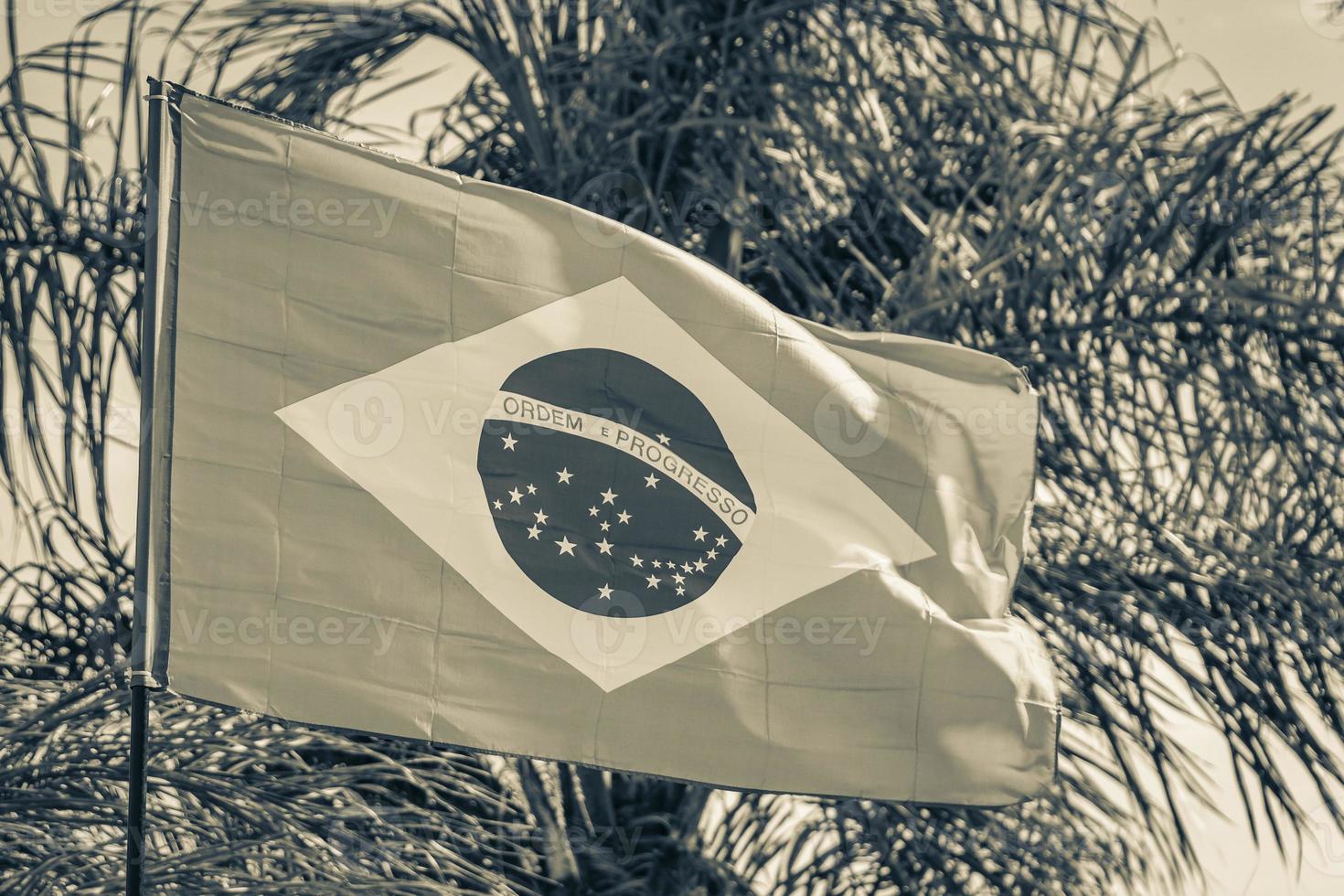 Brazilian flag with palm trees and blue sky background Brazil. photo