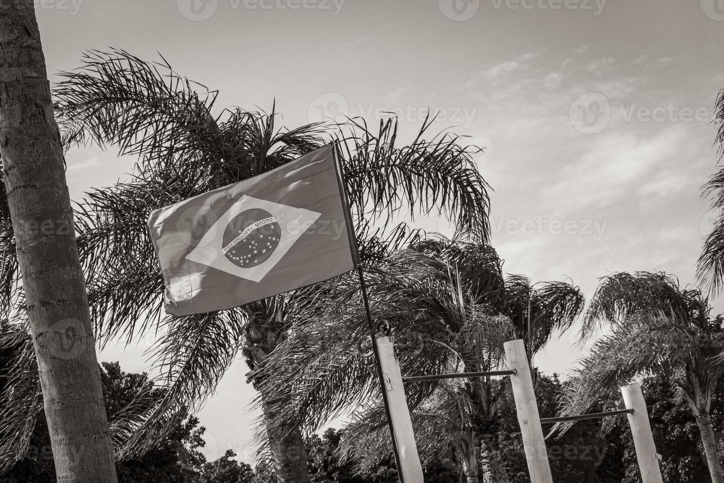 Bandera brasileña con palmeras y fondo de cielo azul Brasil. foto