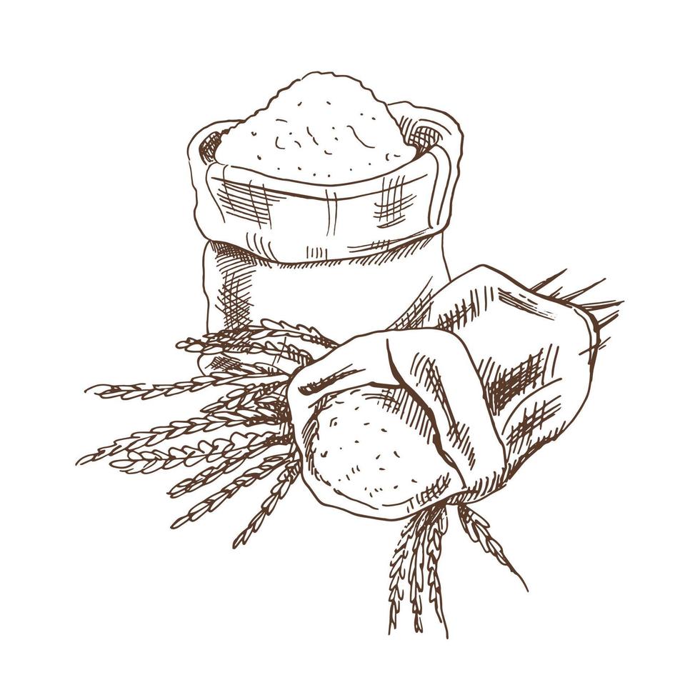 Bags with flour and spikelets of wheat sketch drawing. Drawing isolated on white background. Sketch icon and bakery element. vector