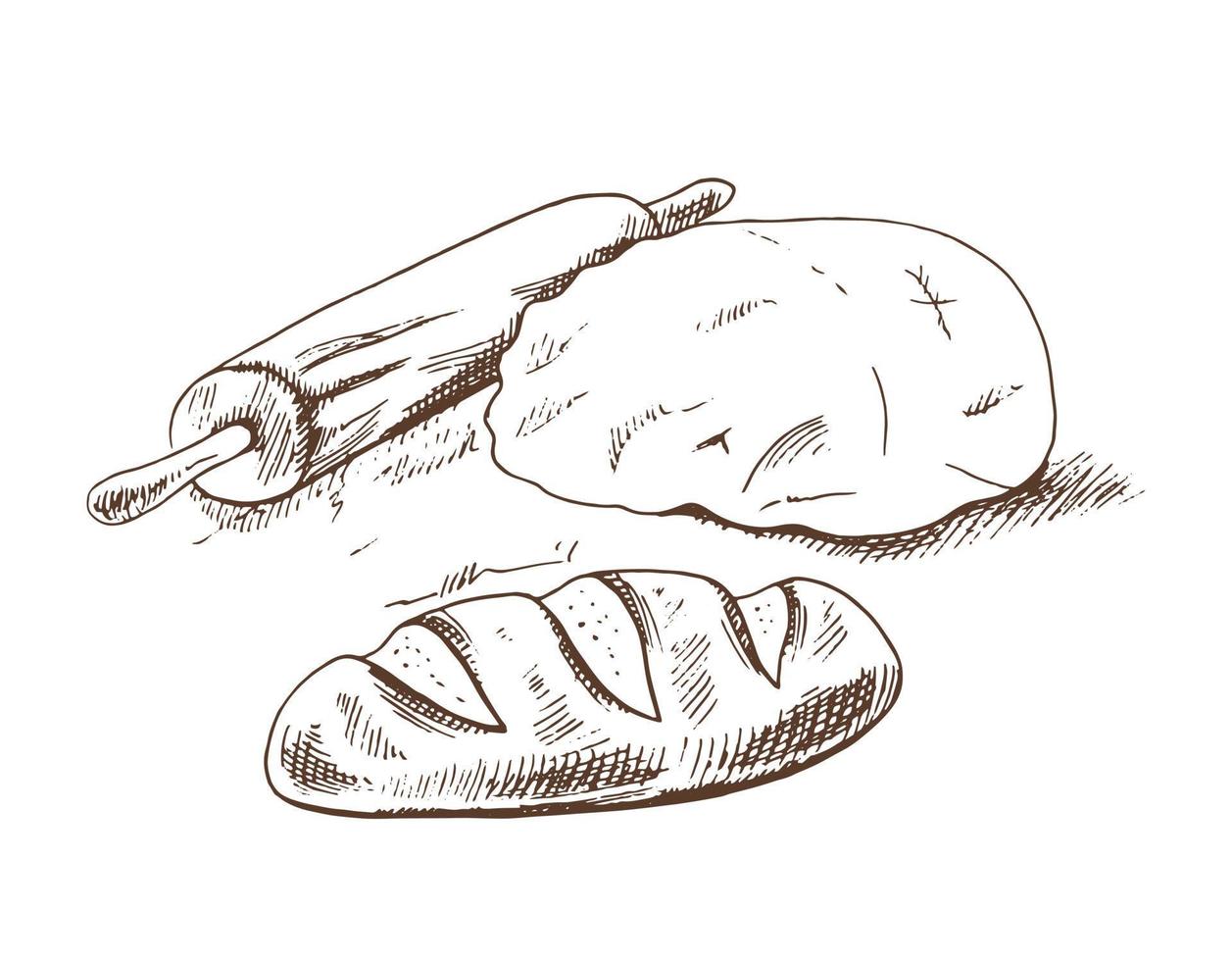 Vector hand drawn sketch  illustration of dough, rolling pin, flour and loaf of bread. Drawing isolated on white background. Sketch icon and bakery element.