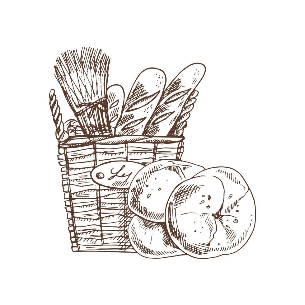 Vector hand drawn sketch  illustration of wicker square basket with baguettes and buns.Drawing isolated on white background. Sketch icon and bakery element.