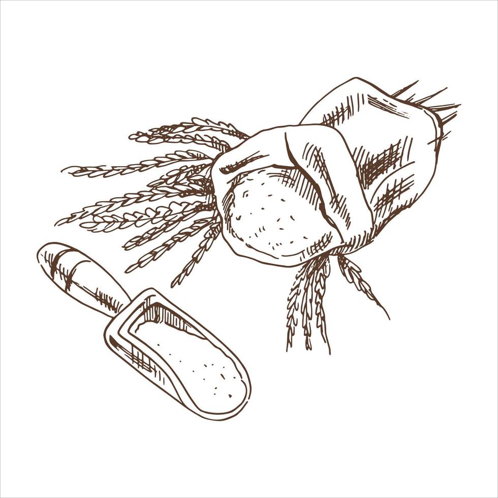 A hand-drawn sketch of a bag with flour and wheat spikelets and a flour ladle. A drawing highlighted on a white background. Vintage element for the design of labels, packaging and postcards. vector