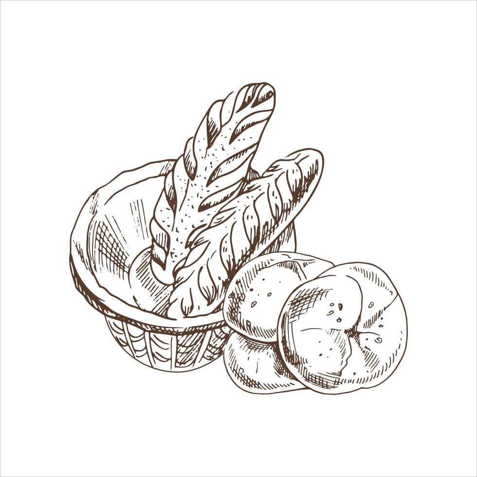 ilustración dibujada a mano vectorial de la cesta de mimbre con baguettes y bollos. dibujo aislado sobre fondo blanco. icono de esbozo y elemento de panadería. vector