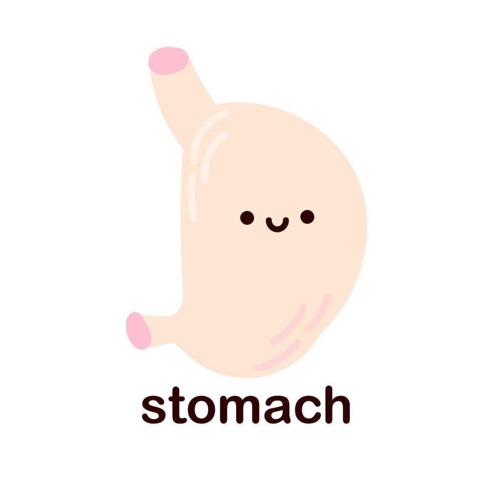 Kawaii stomach. Cute kawaii human internal organs. Cheerful children's drawings in a flat style, hand drawn, human anatomy. vector