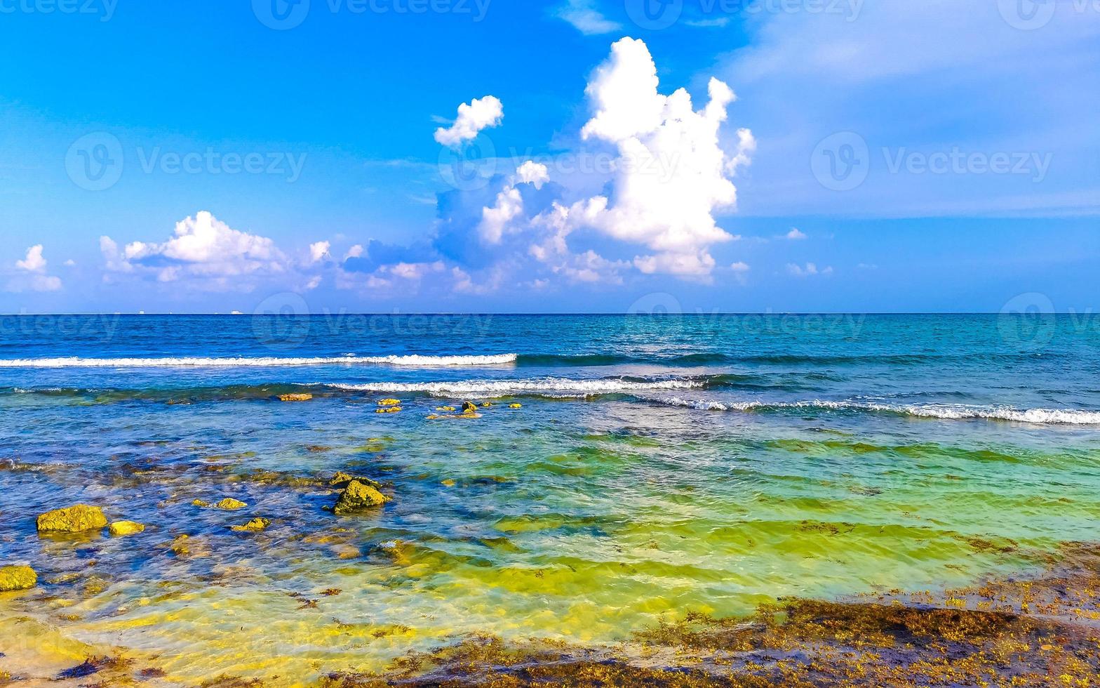 playa caribeña tropical agua clara turquesa playa del carmen méxico. foto