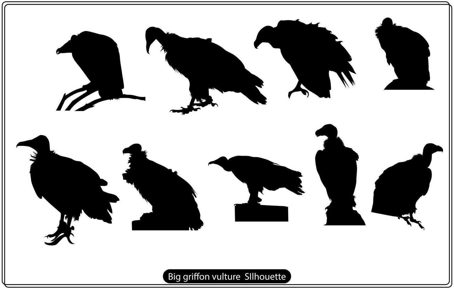 silueta de un pájaro buitre leonado volador, conocido científicamente como gyps fulvus. ilustración vectorial gratis vector