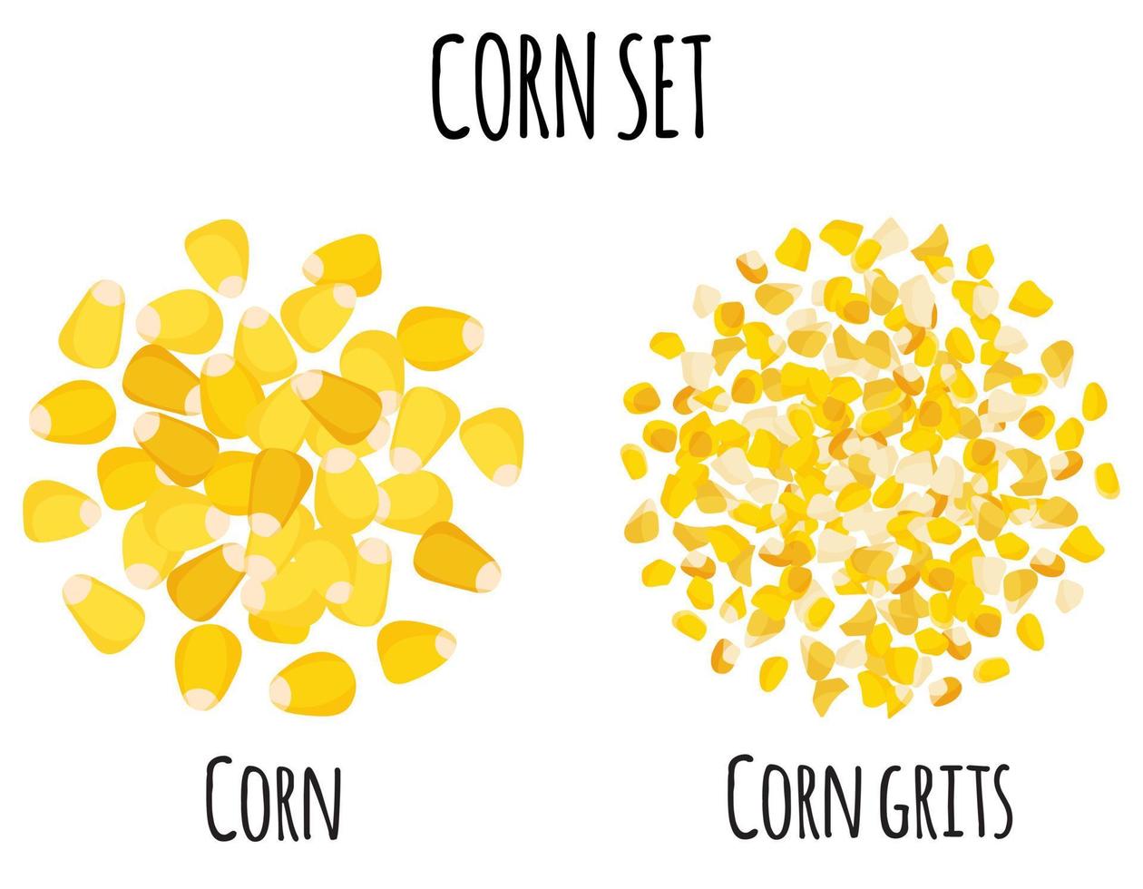 Corn set with grain and grits. vector