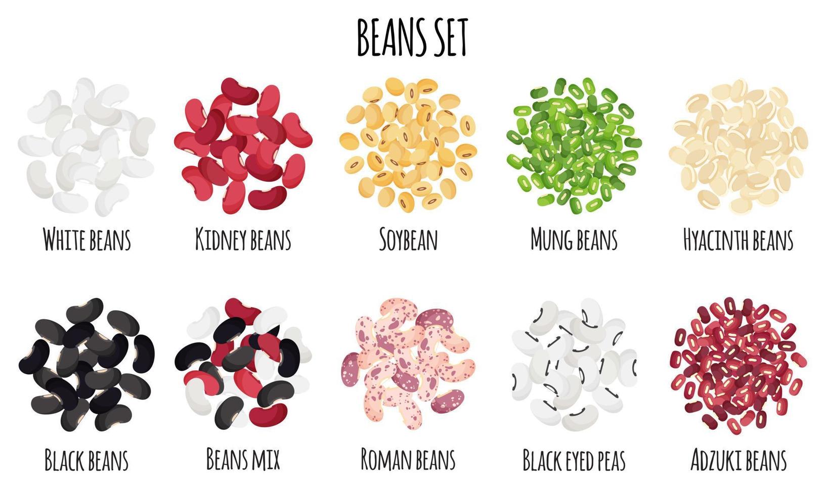 Beans set with Black, White, Roman, Kidney, Mung, Adzuki, Hyacinth and