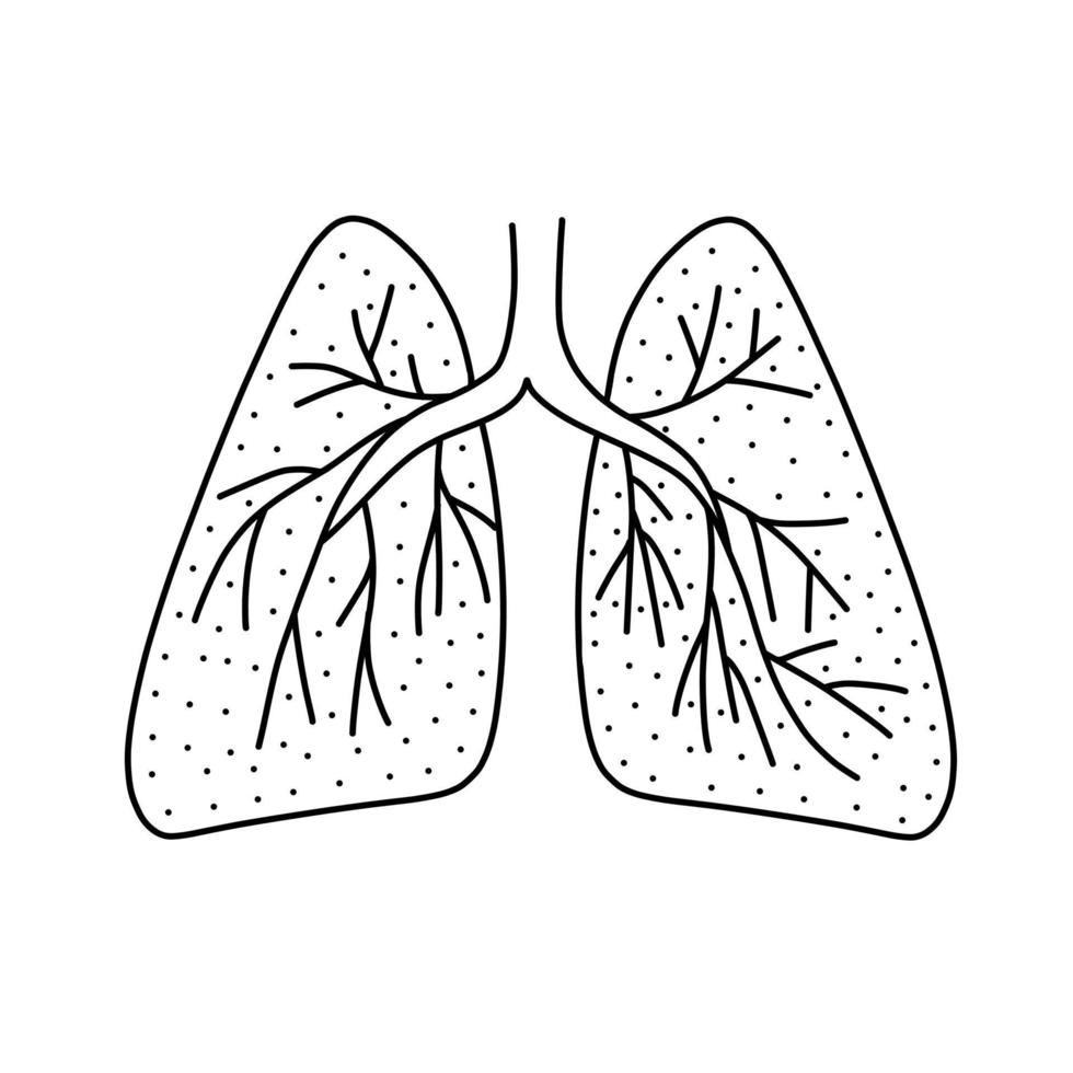 ilustración vectorial dibujada a mano de pulmones humanos en estilo garabato. Linda ilustración del icono de los pulmones sobre fondo blanco. vector