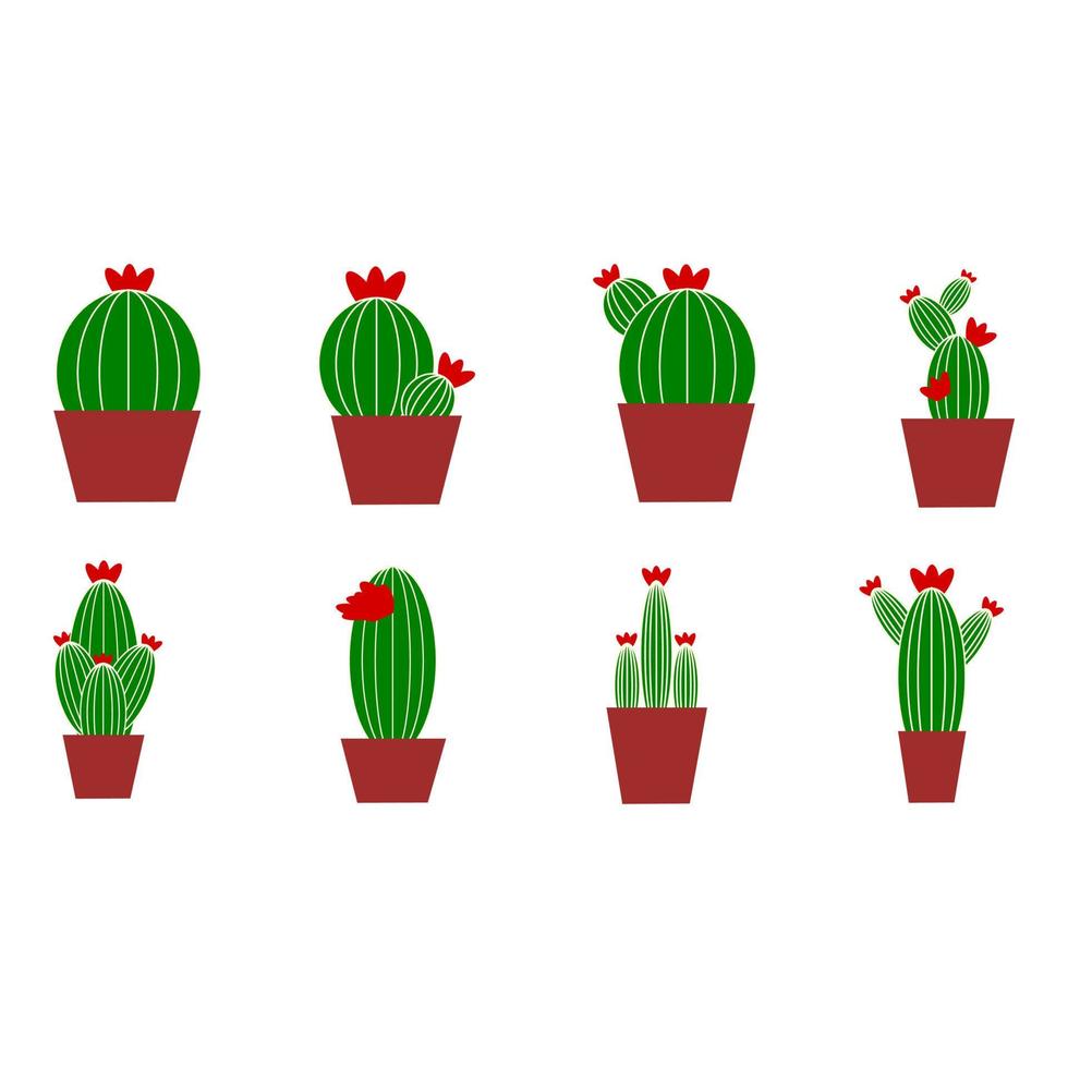 cactus in a pot on white background vector