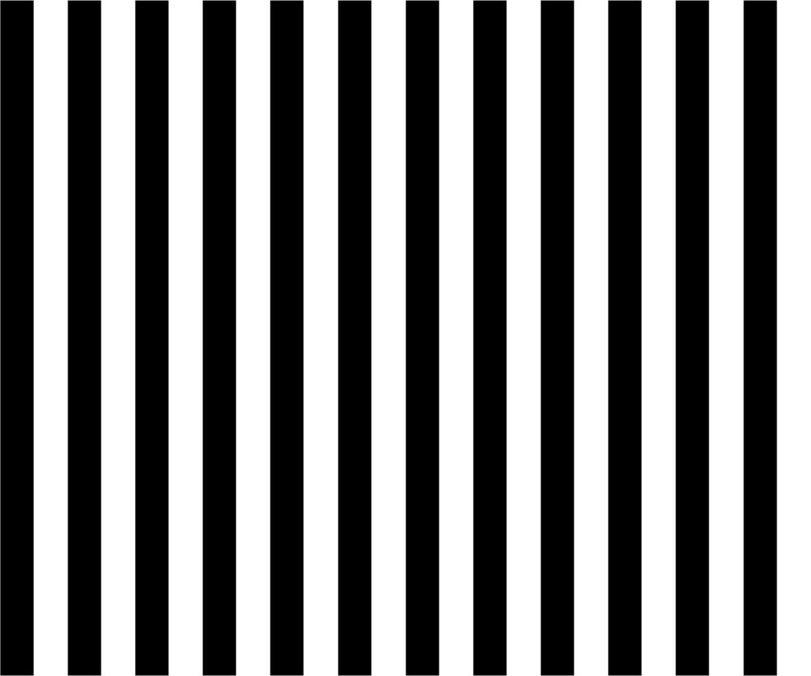 black and white seamless pattern with striped vector