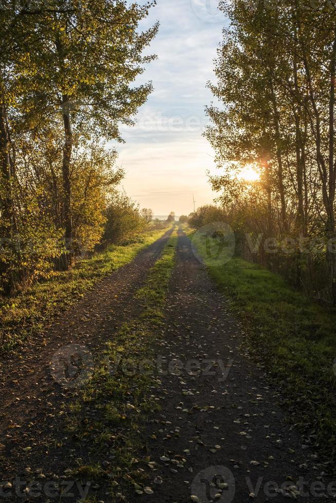 Rural road among the trees against the background of the sky and the setting sun, in autumn. photo