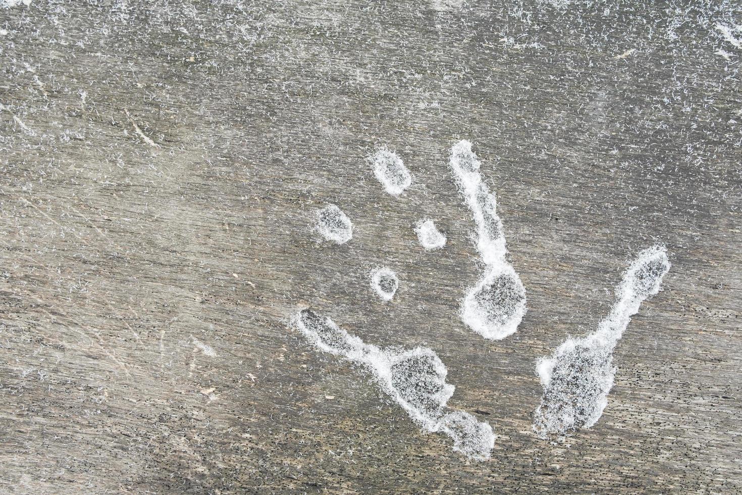 Frozen, icy palm printon a wooden surface looks terrifying. copy space. Copy space. Flatley. photo