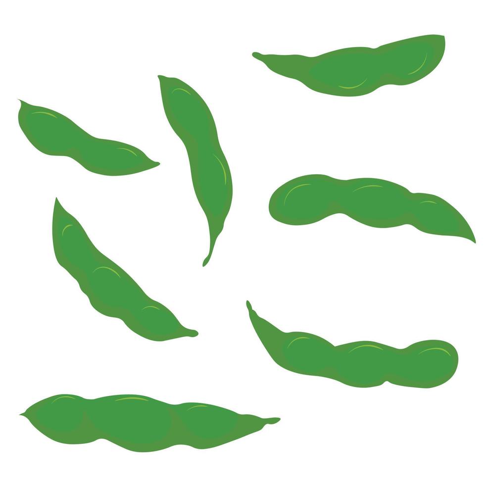 Green bean pods, peas, asparagus. Vector stock illustration. isolated on a white background. Edamame.